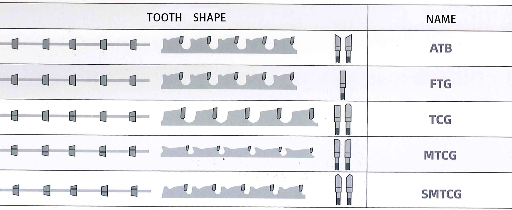 Forma del dente